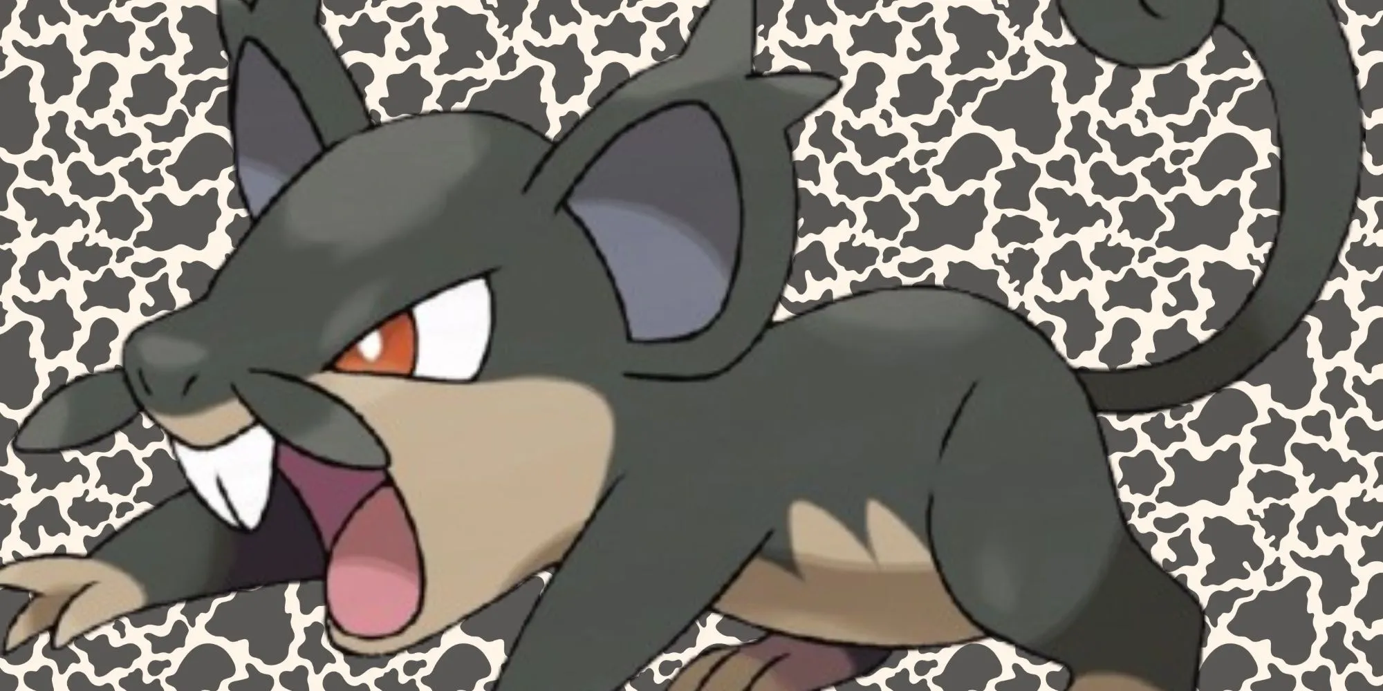 Alola Rattata hệ Bóng tối/Thường với bộ lông đen và ria mép đặc trưng