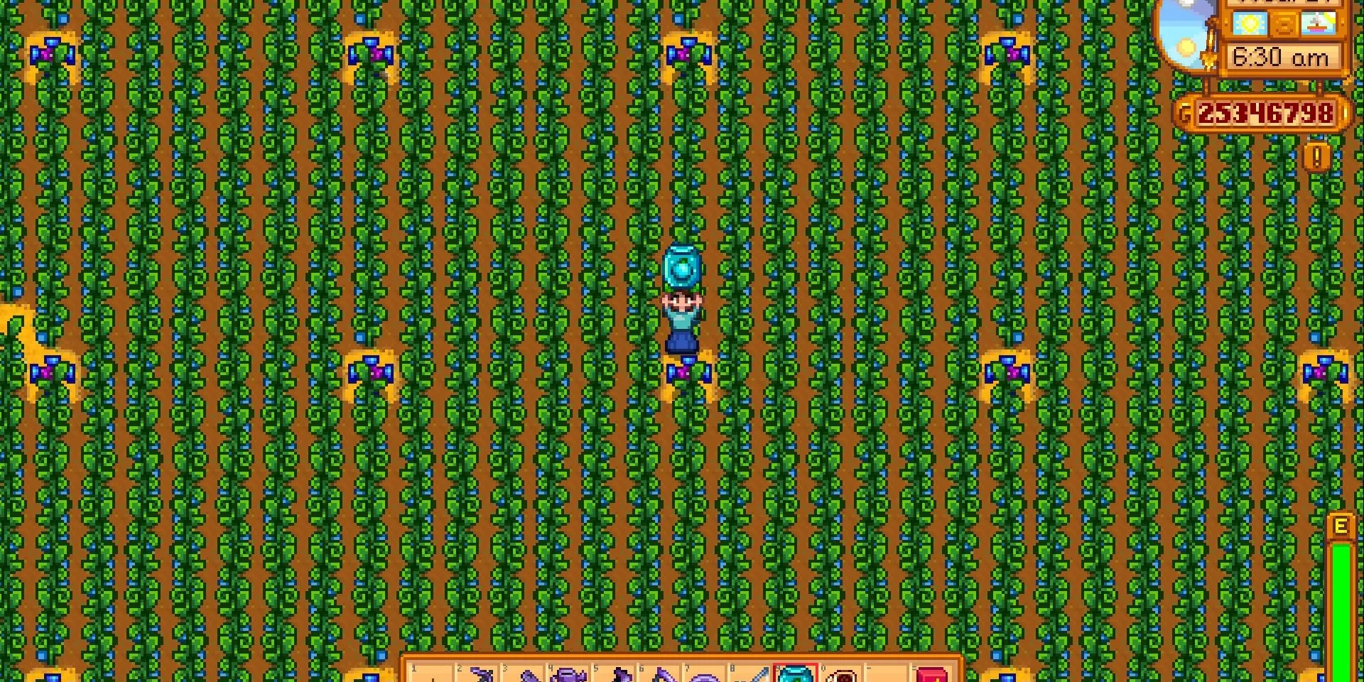 Ảnh chụp màn hình một trang trại Ancient Fruit khổng lồ trong Stardew Valley