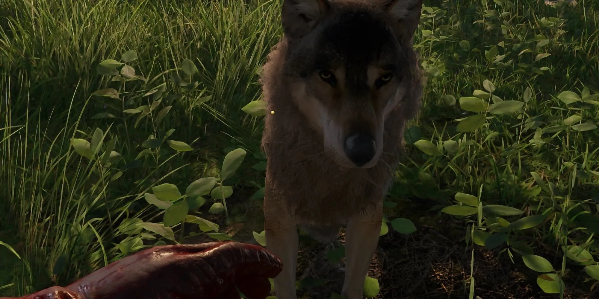 Chú chó trở nên thân thiện trong Kingdom Come Deliverance 2 với mod Harmless Dogs