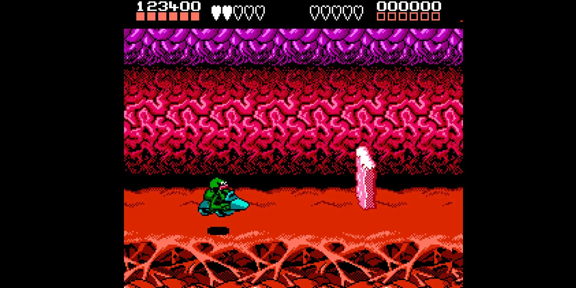 Hai nhân vật Battletoads chiến đấu trong màn hình chia đôi, minh họa chế độ co-op