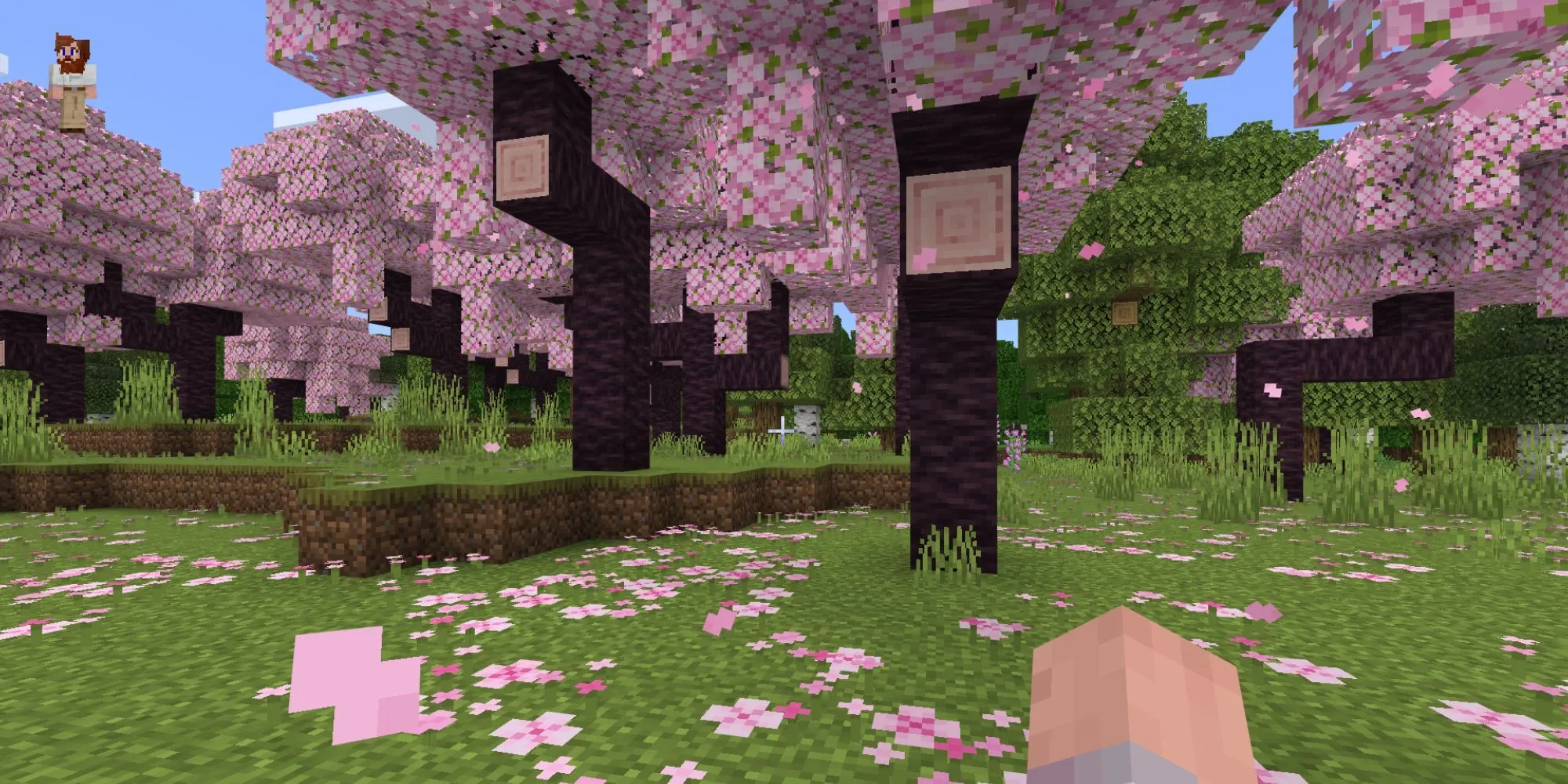 Khu rừng hoa anh đào trong Minecraft