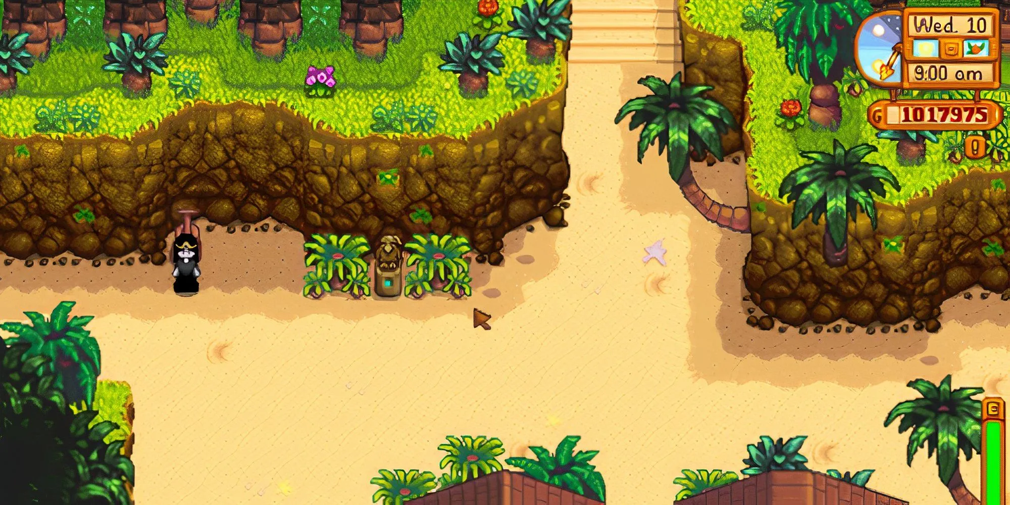 Lối vào khu vực phía Tây Đảo Gừng trong Stardew Valley bị chặn bởi một chú rùa ngủ.
