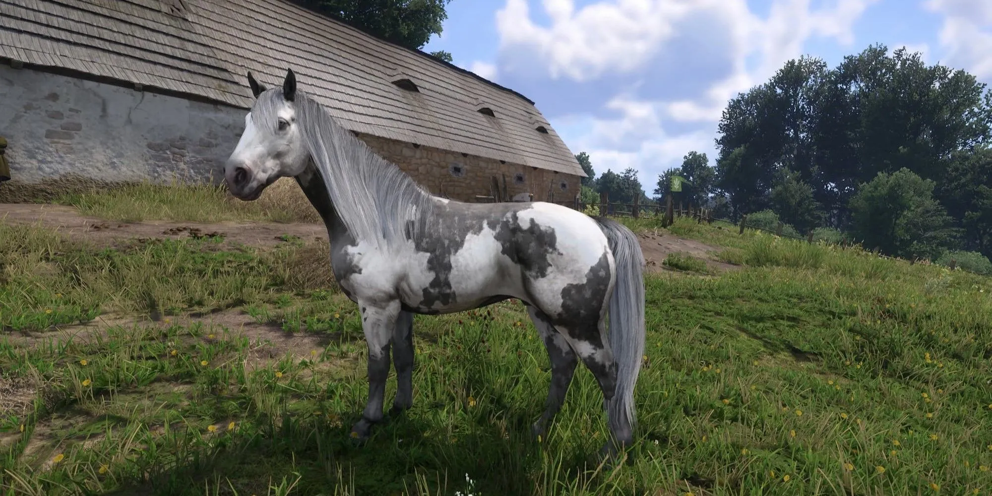 Một con ngựa độc đáo với bộ lông đặc biệt trong Kingdom Come Deliverance 2 nhờ mod Unique Horses