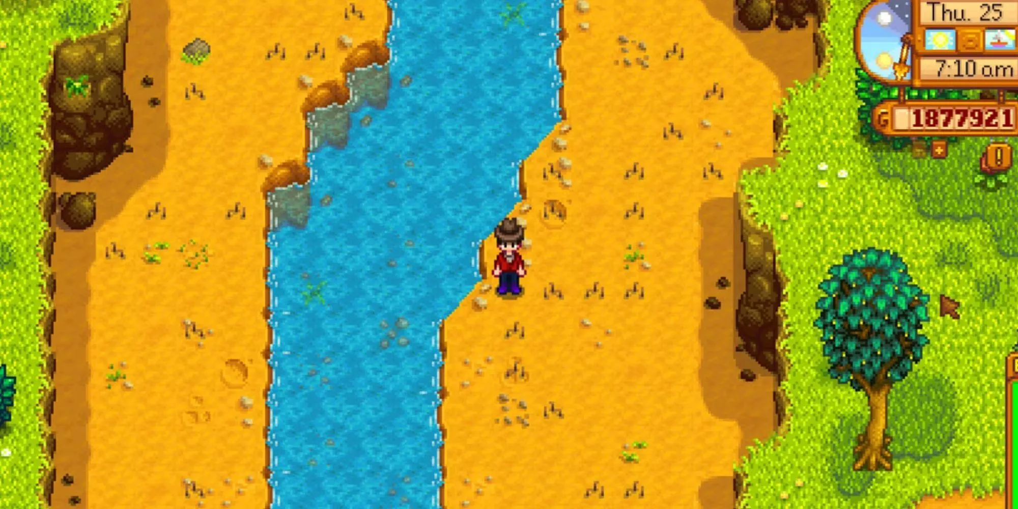 Rất nhiều Điểm Kho Báu (Artifact Spots) trong Stardew Valley