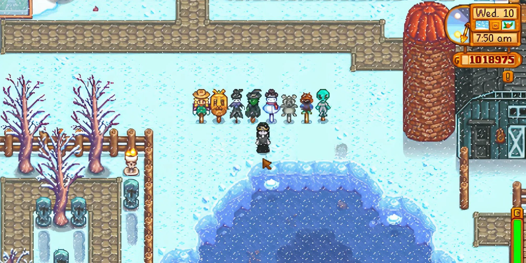 stardew valley rarecrow collection