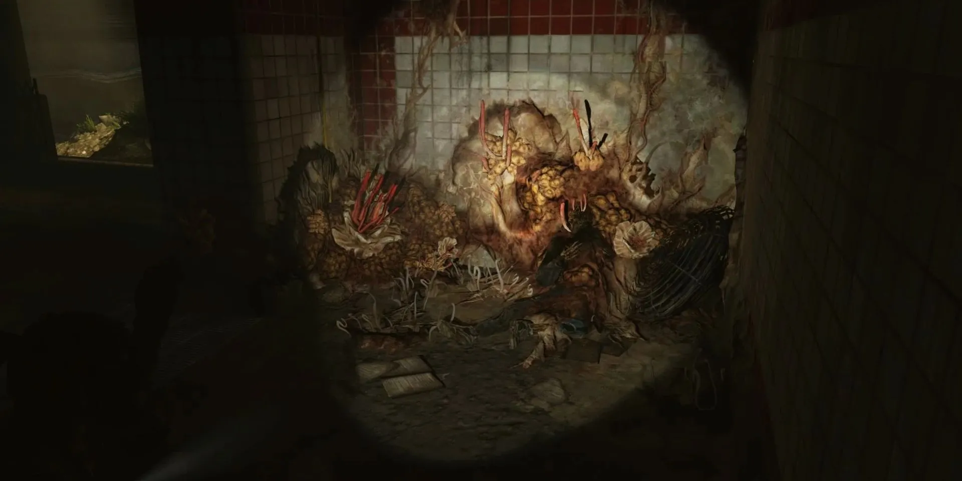 Sự phát triển của nấm Cordyceps trong The Last of Us, dấu hiệu của bệnh dịch lan tràn