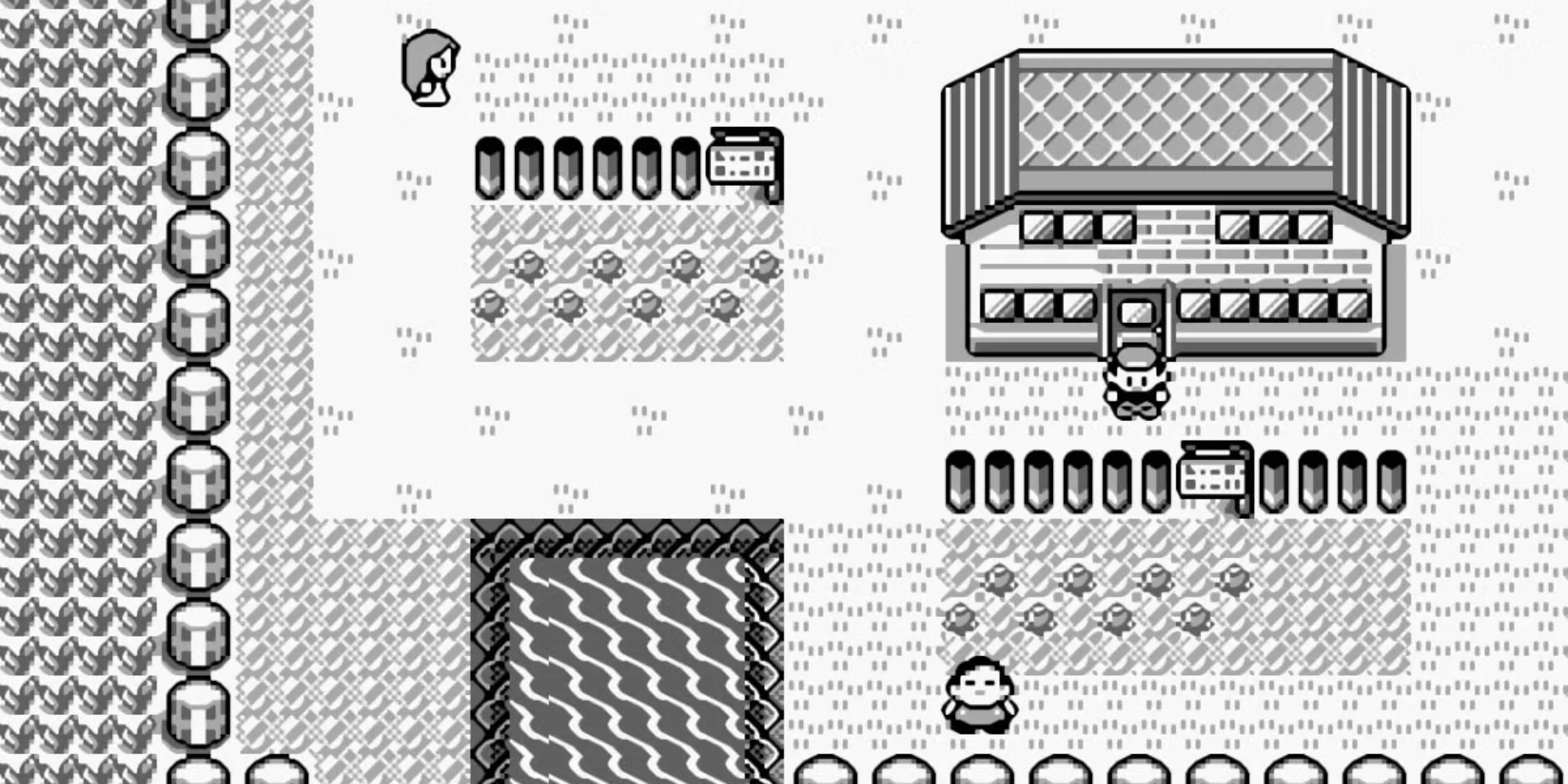 Thị trấn khởi đầu trong Pokemon Red và Blue