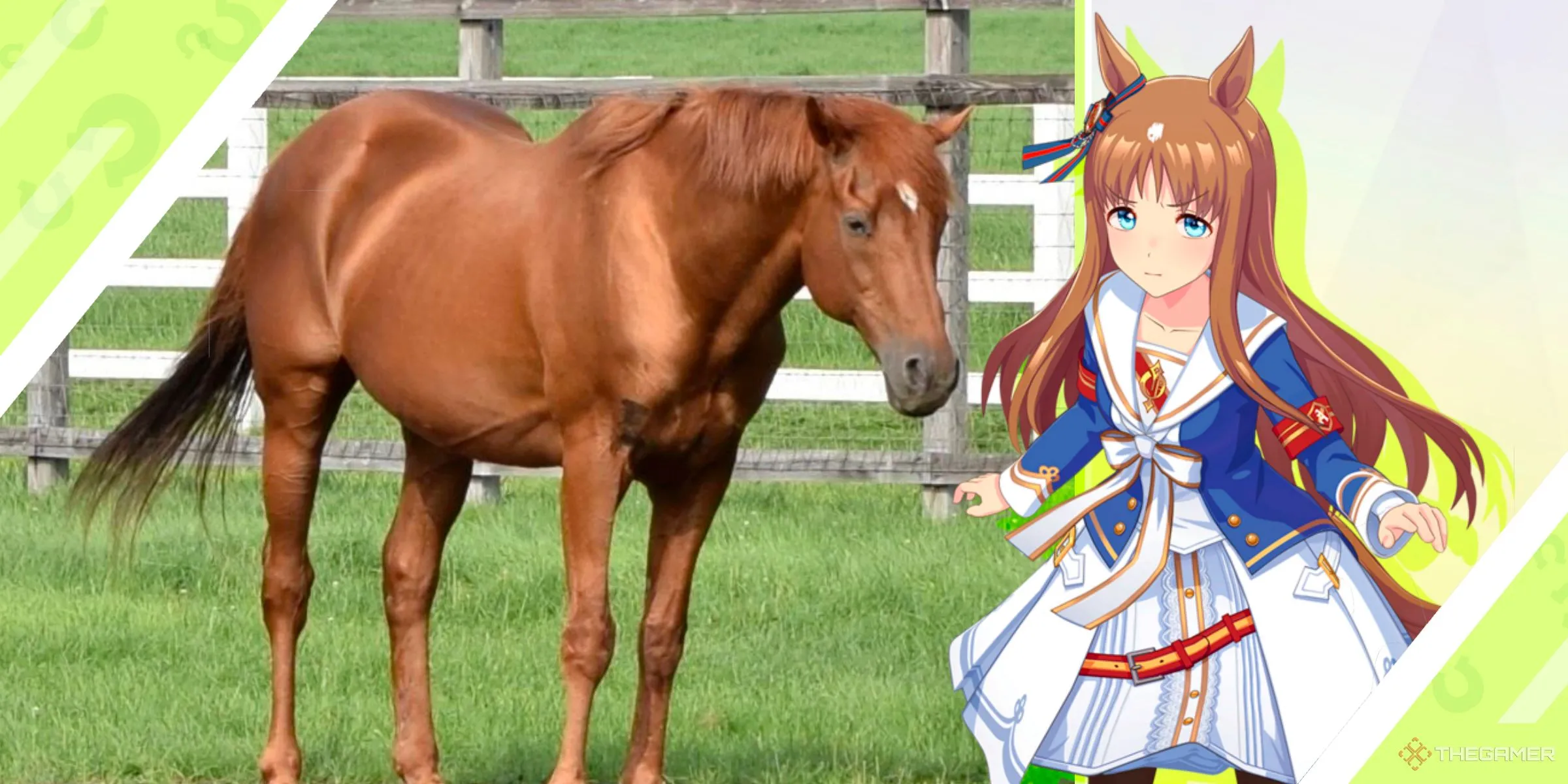 Grass Wonder trong thế giới ngựa đua và thế giới Umamusume anime.