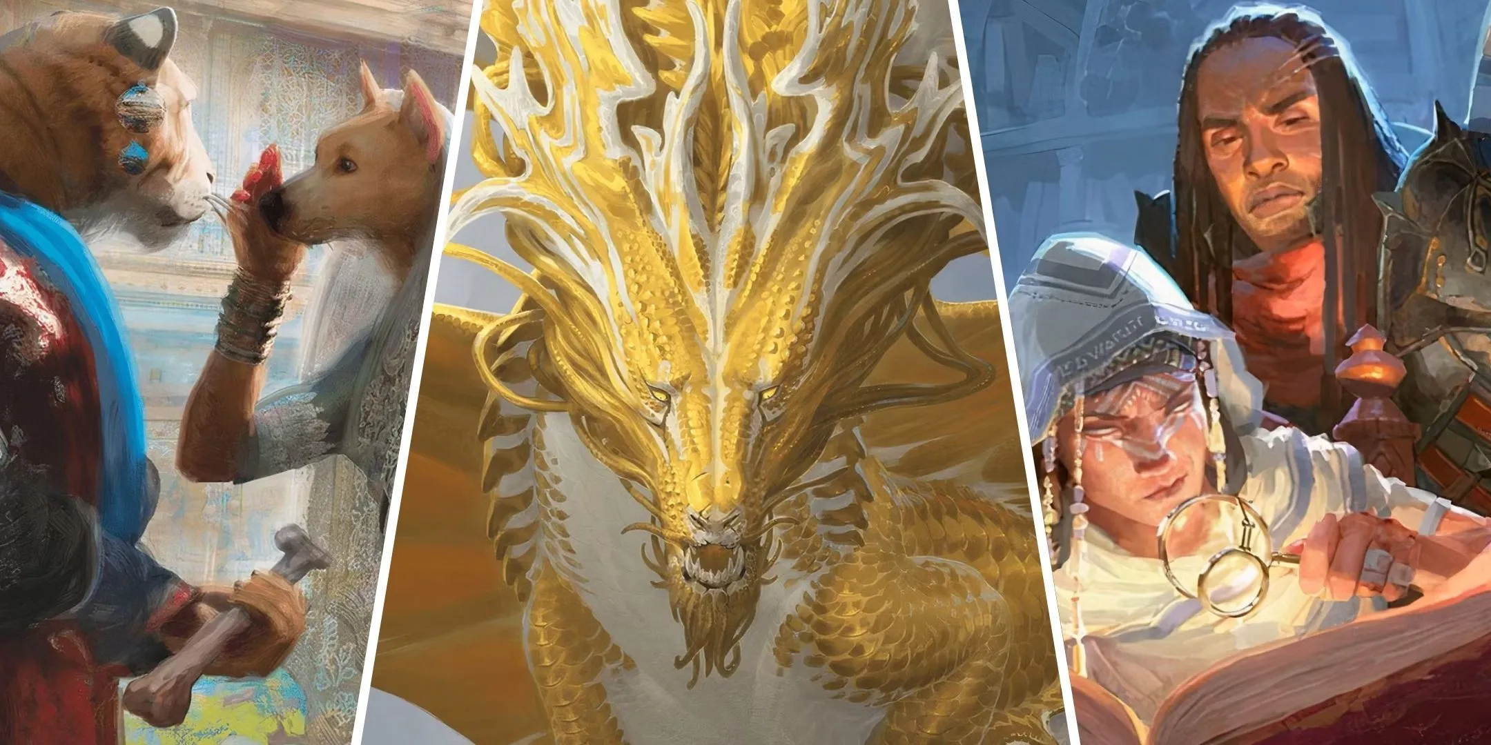 Thế giới Dungeons & Dragons đa dạng với nhiều chủng tộc và sinh vật huyền bí.